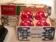 Holly Glass/Shiny Brite pink balls 5 boxes